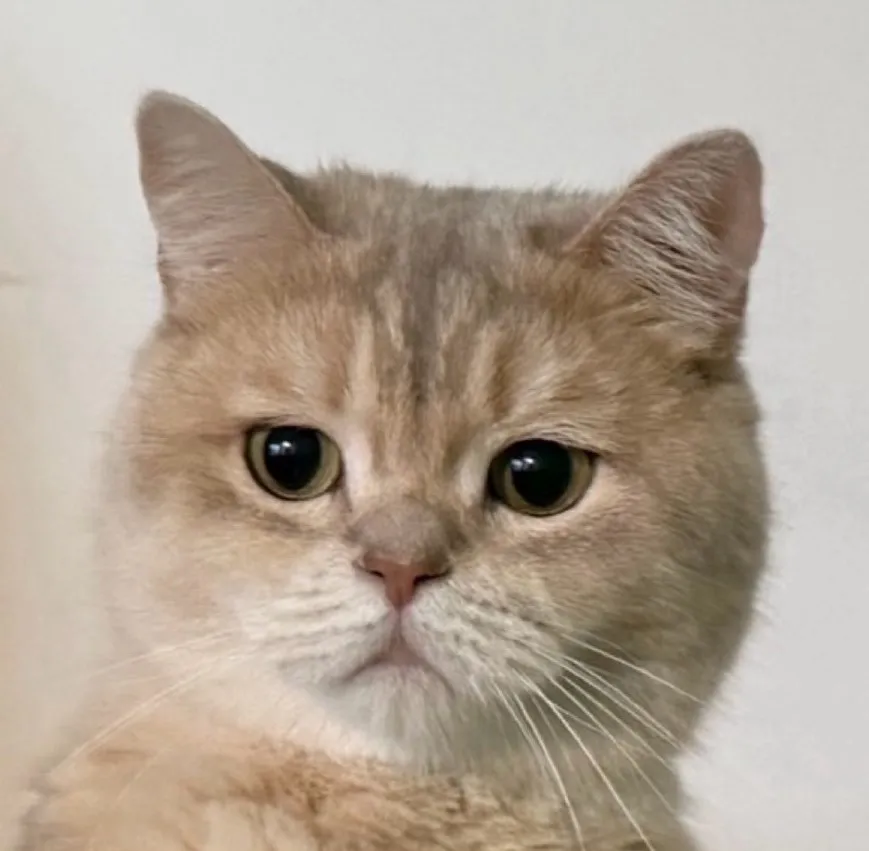 家長回饋照分享