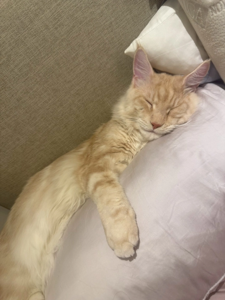 家長回饋照分享