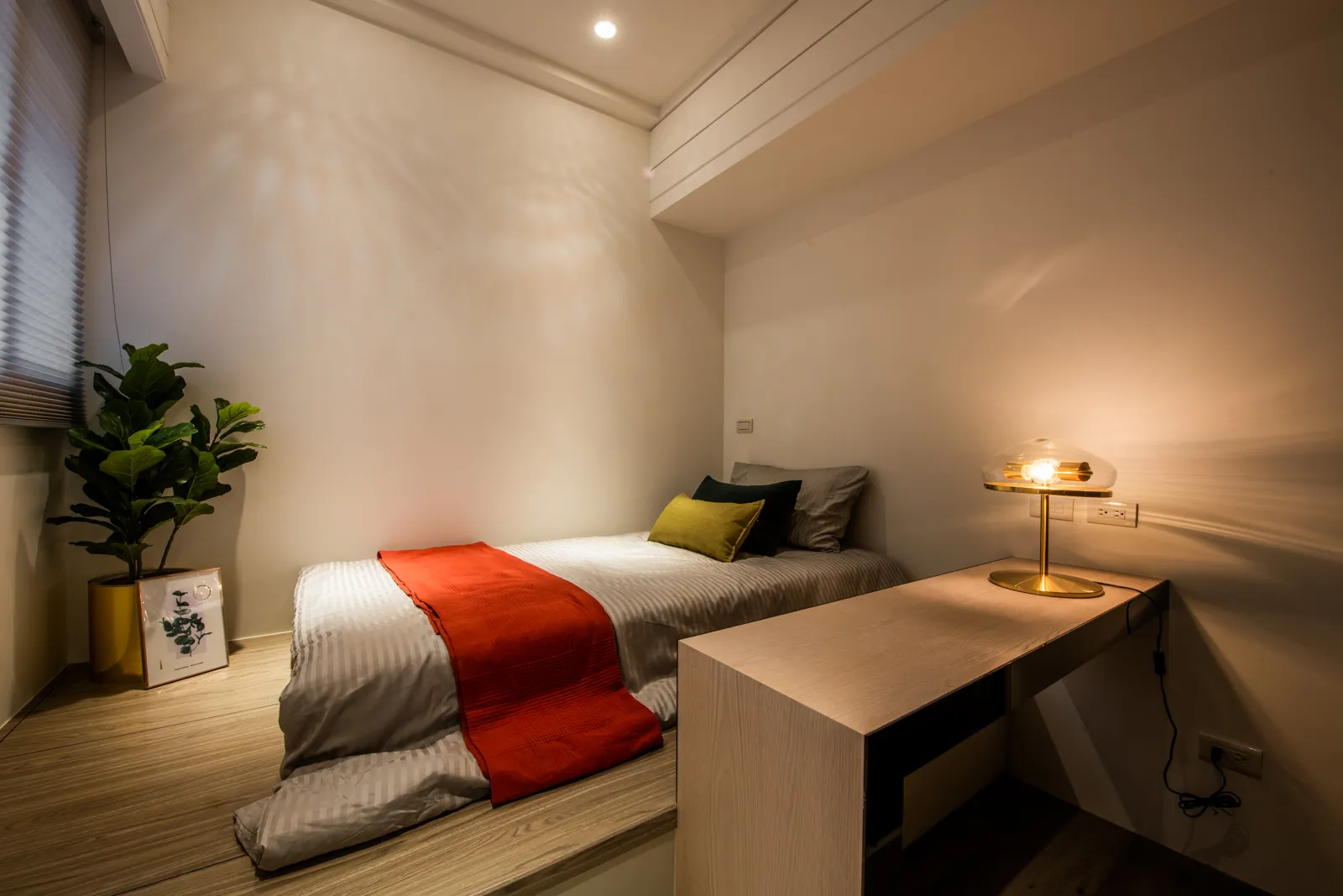 新板艾麗實品屋