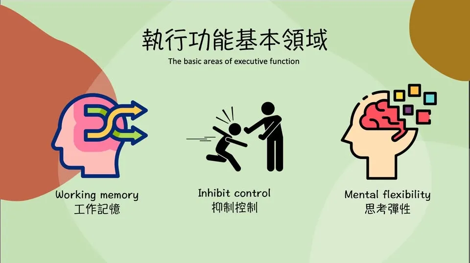 額葉與執行功能：大腦的「指揮官」/台中復健科診所/台中復健科診所推薦