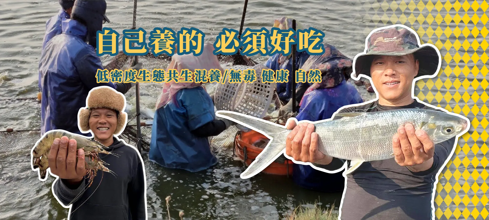 養蝦小哥海鮮店-海鮮宅配,海鮮團購,台南海鮮宅配,台南海鮮團購,七股海鮮宅配,七股海鮮團購