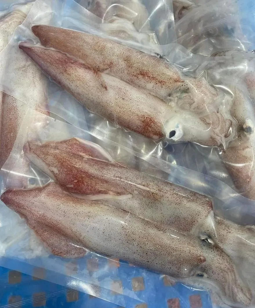 澎湖野生厚肉透抽（2隻裝）400克