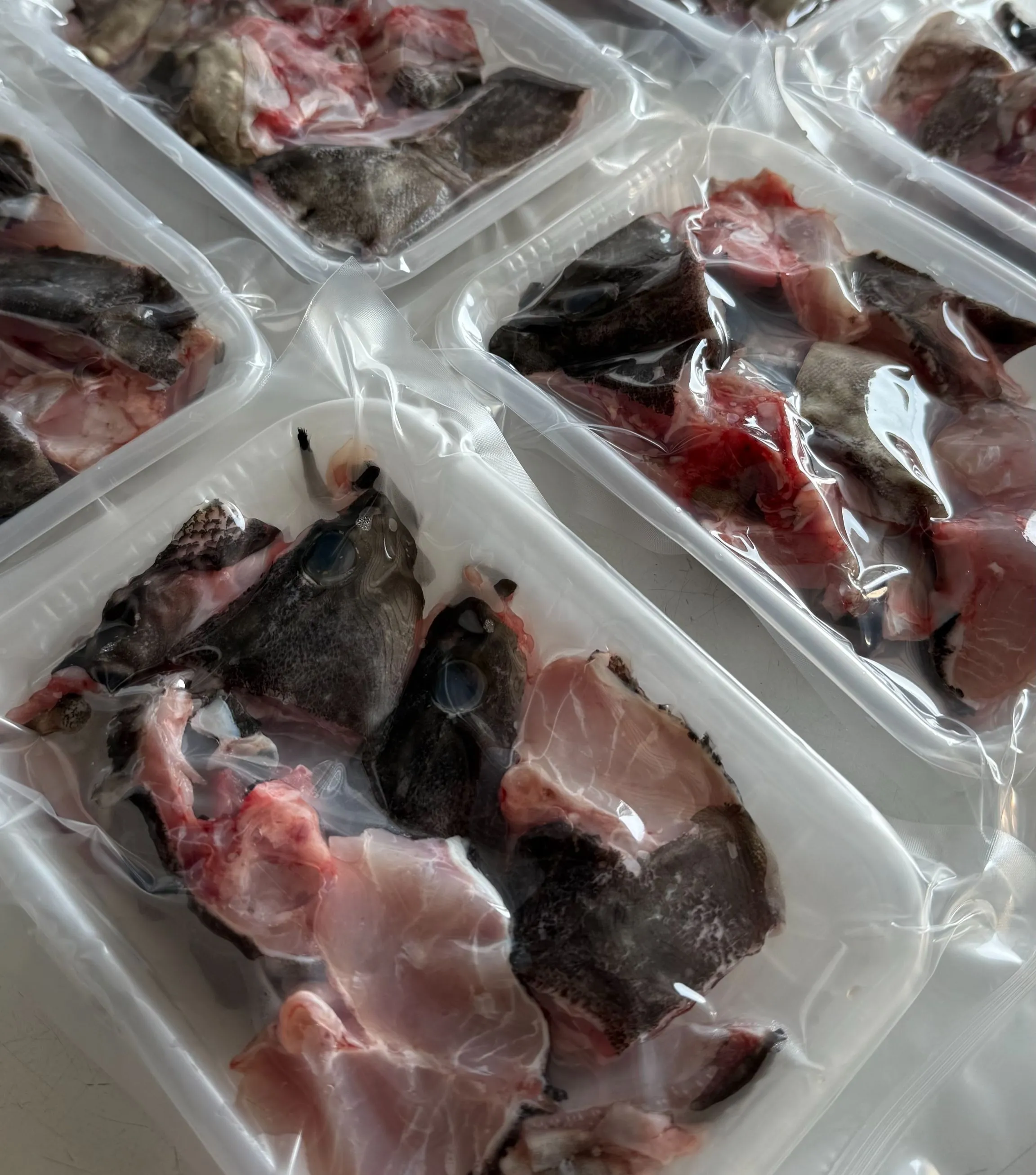 【養蝦小哥】龍膽石斑清肉300克/盒