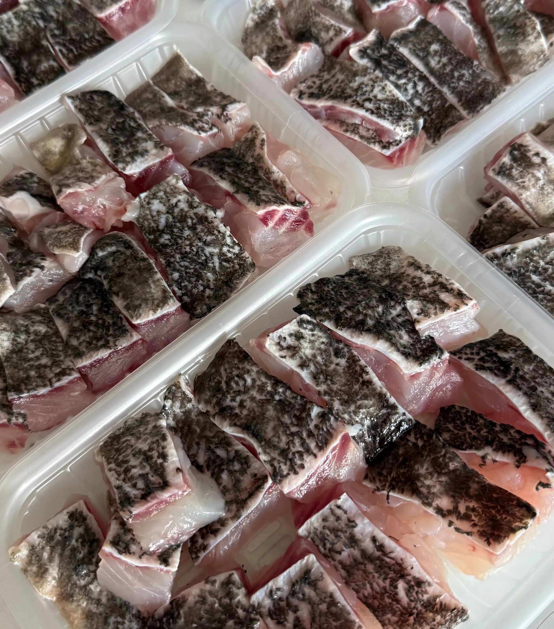 【養蝦小哥】龍膽石斑清肉300克/盒