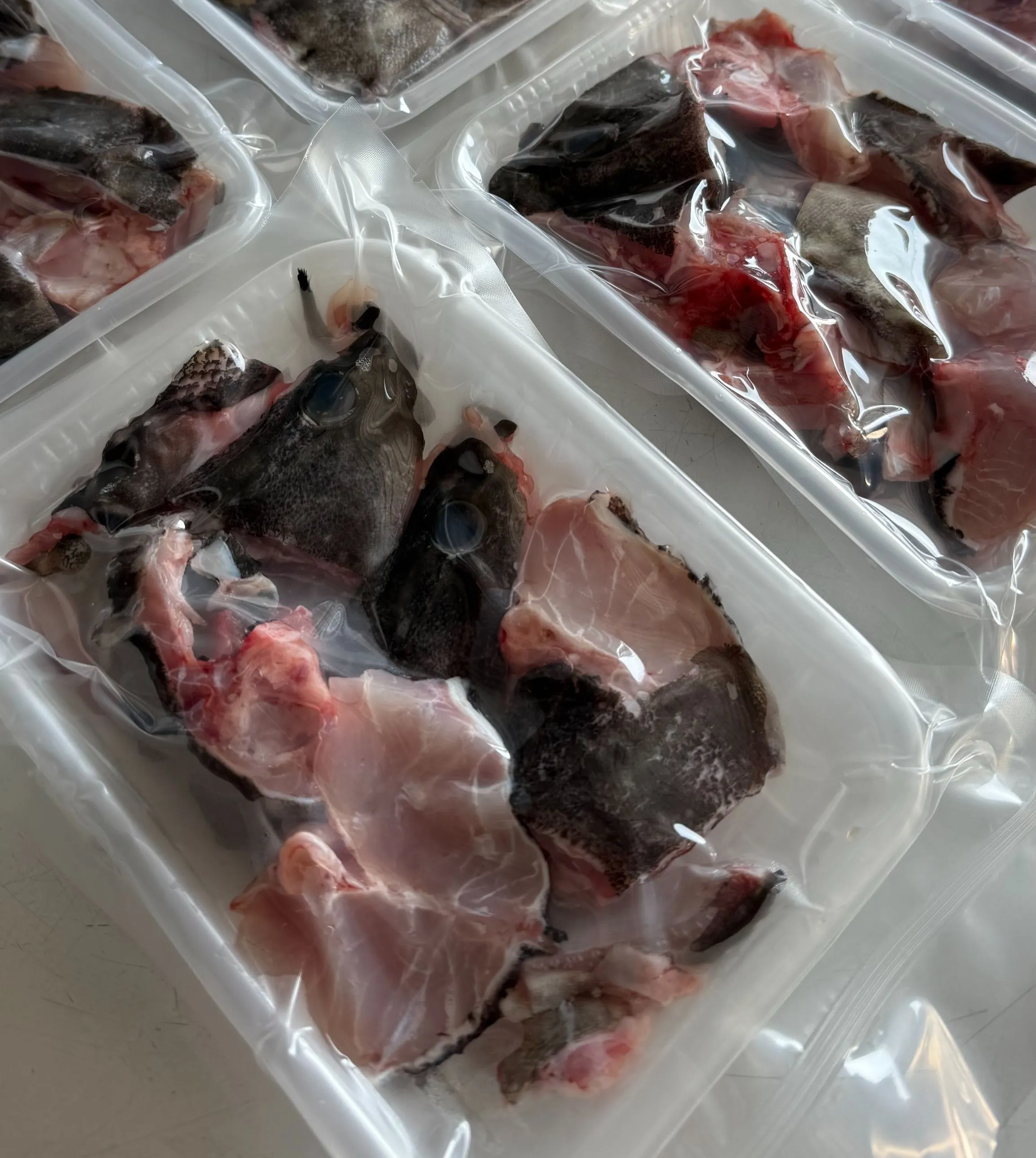 【養蝦小哥】龍膽石斑清肉300克/盒