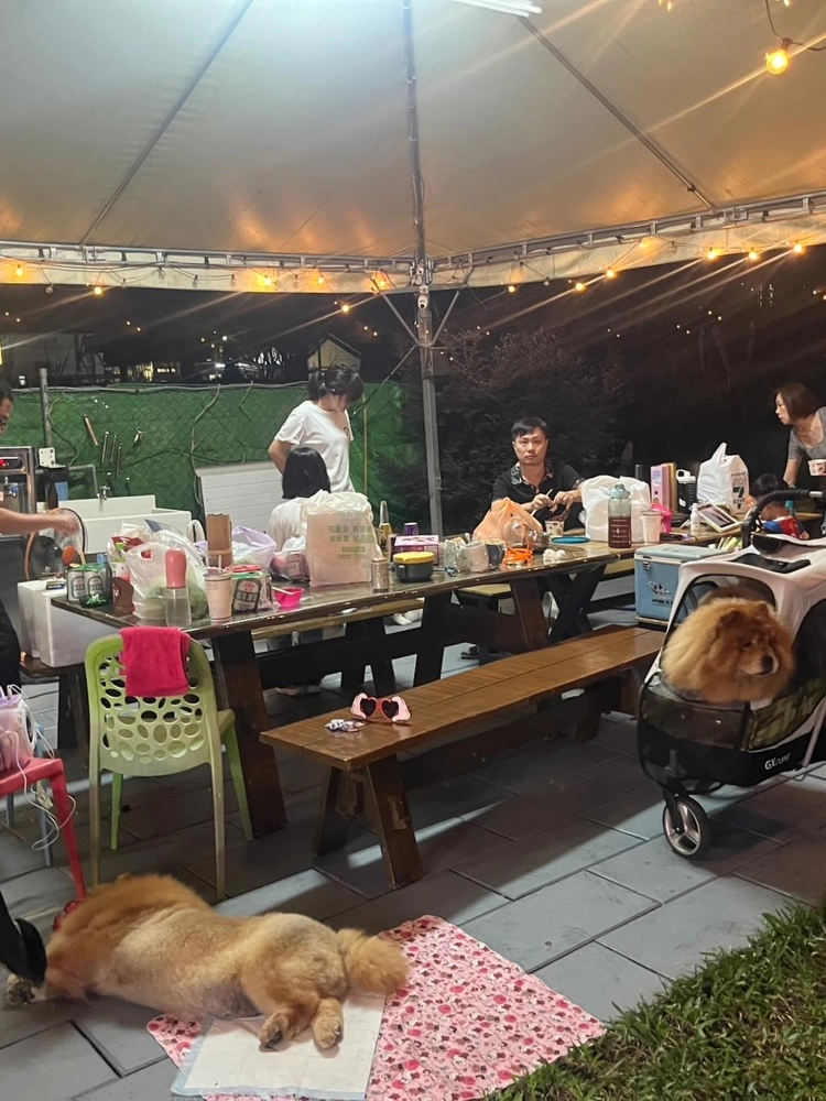 埔里｜2025底鬆獅聚會