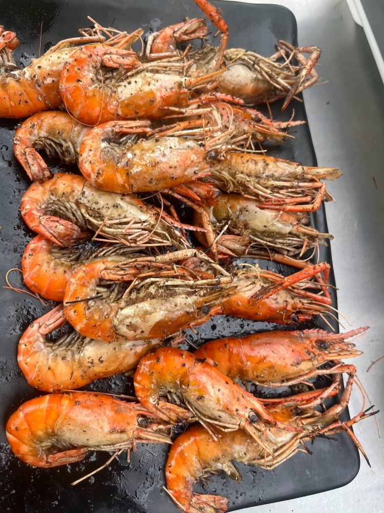 名間｜ 2025年水彈飛翔烤肉趴