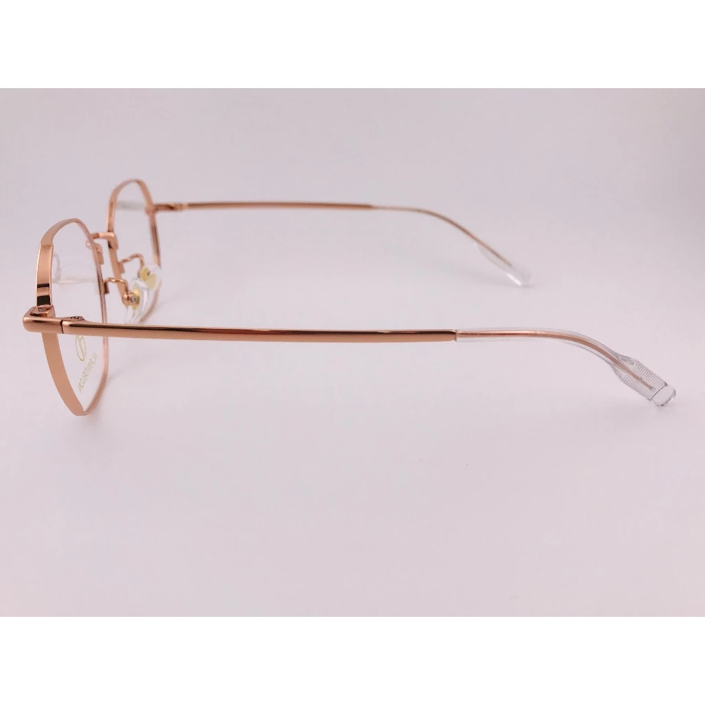 全新法國品牌 ALAIN DELON 亞蘭德倫 AD66311-C2 鏡框 眼鏡 β鈦 輕量眼鏡