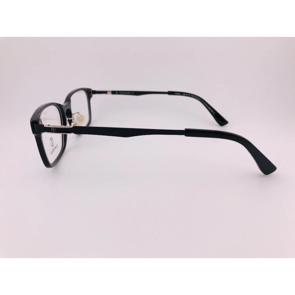 全新法國品牌 ALAIN DELON 亞蘭德倫 AD1269A1-C02 鏡框 眼鏡 不鏽鋼 醋酸纖維(板料) 輕量眼鏡