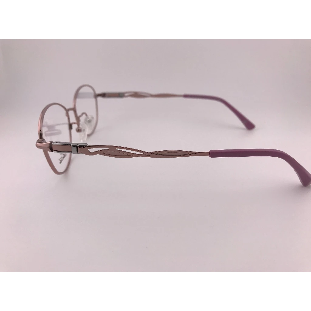 全新法國品牌 ALAIN DELON 亞蘭德倫 AD9006 鏡框 眼鏡 鈦合金 輕量眼鏡