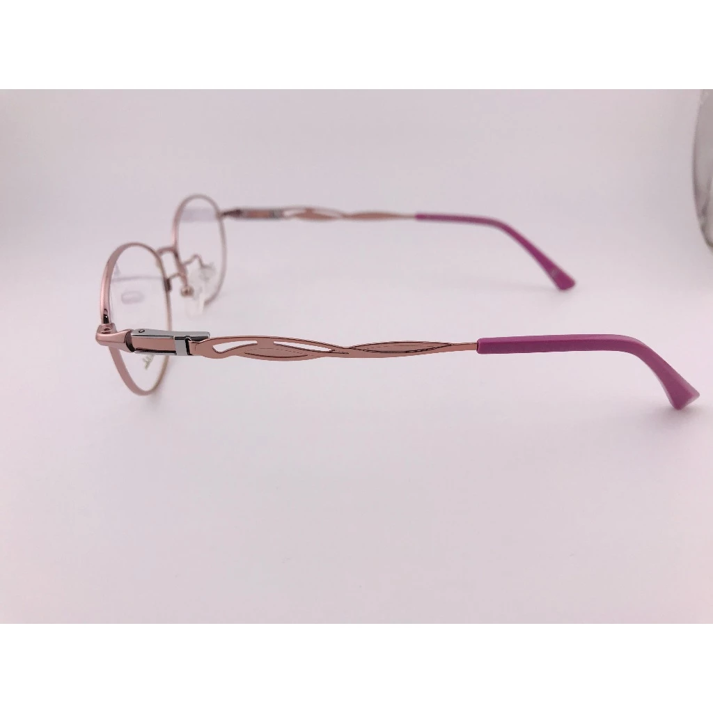 全新法國品牌 ALAIN DELON 亞蘭德倫 AD90005 鏡框 眼鏡 鈦合金 輕量眼鏡