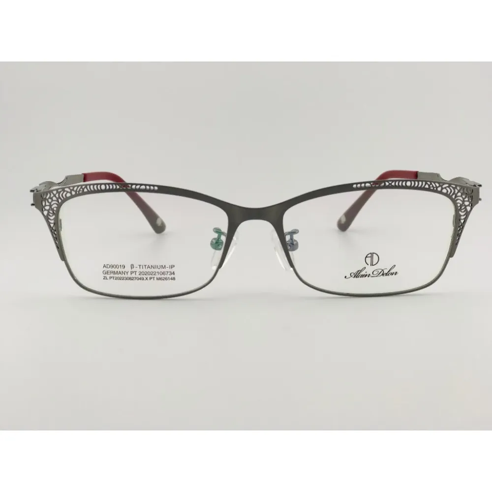 全新法國品牌 ALAIN DELON 亞蘭德倫 AD90019-C5 鏡框 眼鏡 鈦合金 輕量眼鏡