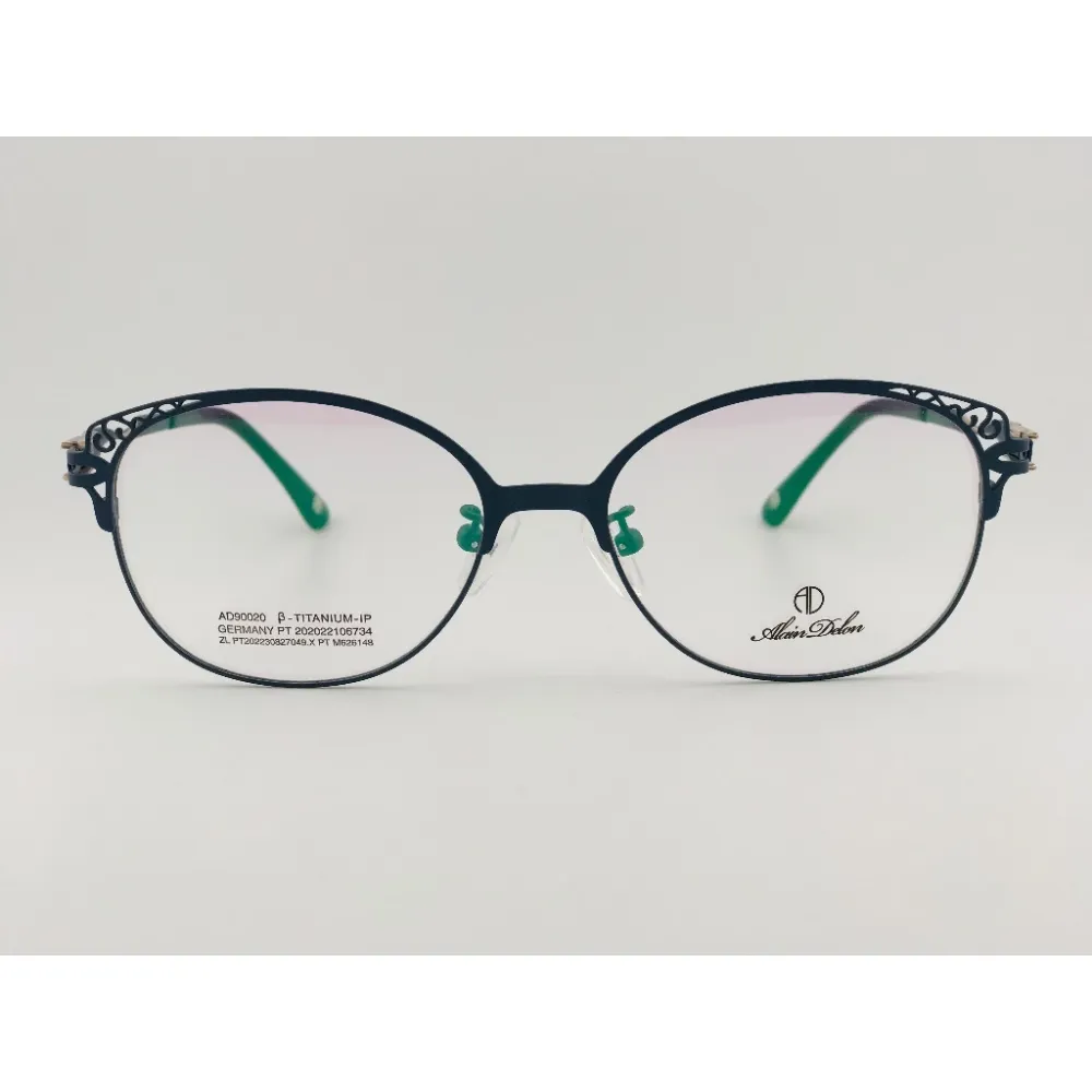 全新法國品牌 ALAIN DELON 亞蘭德倫 AD90020-C3 鏡框 眼鏡 鈦合金 輕量眼鏡