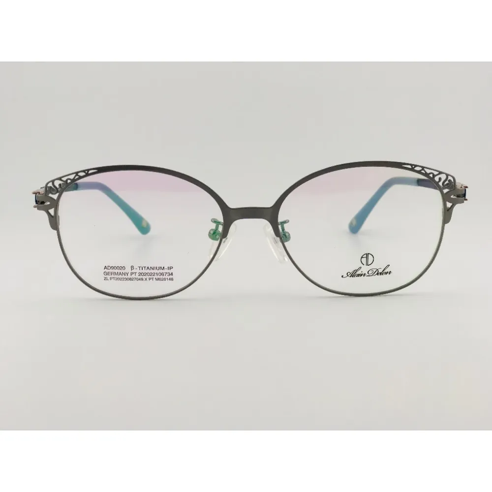 全新法國品牌 ALAIN DELON 亞蘭德倫 AD90020-C5 鏡框 眼鏡 鈦合金 輕量眼鏡