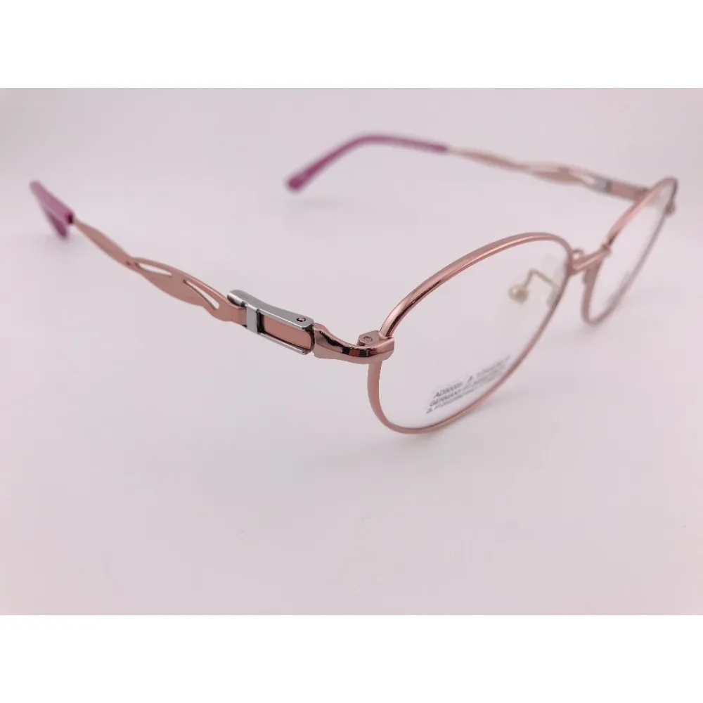 全新法國品牌 ALAIN DELON 亞蘭德倫 AD90005 鏡框 眼鏡 鈦合金 輕量眼鏡