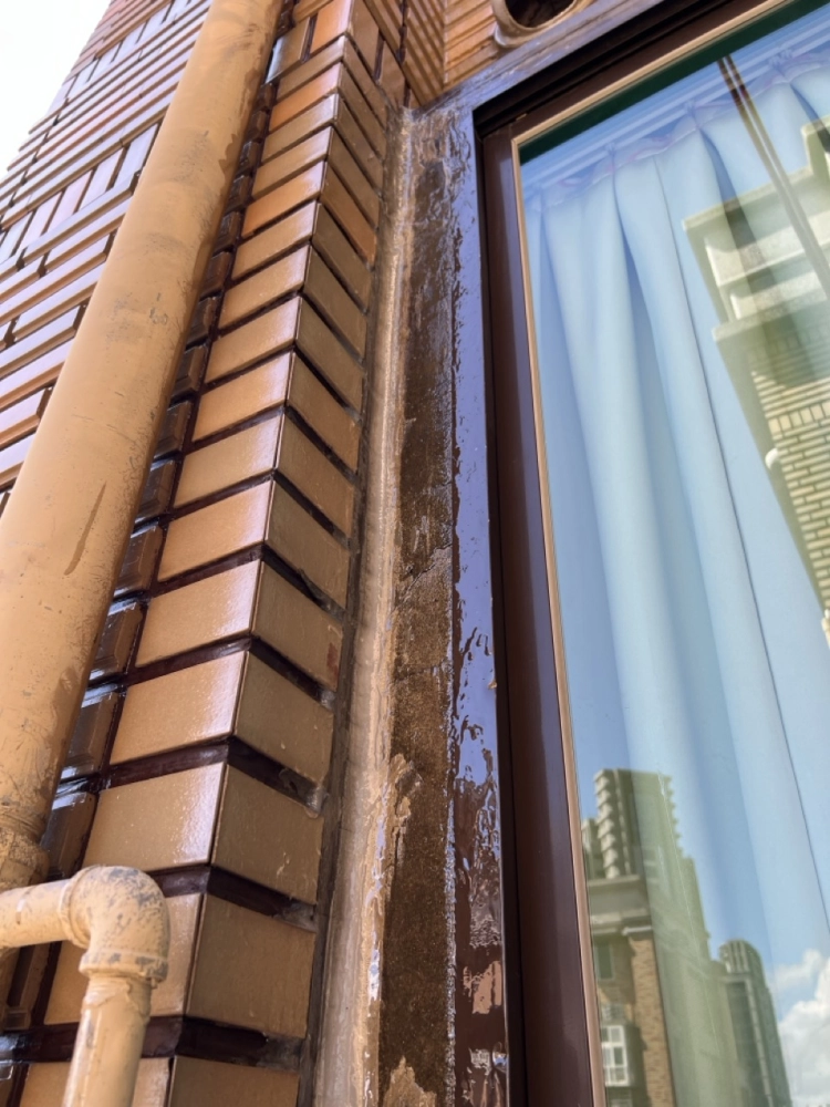 2025年10月_新北蘆洲長榮路