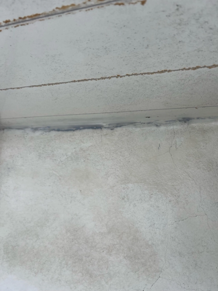 2025年11月_台北大安忠孝東路四段