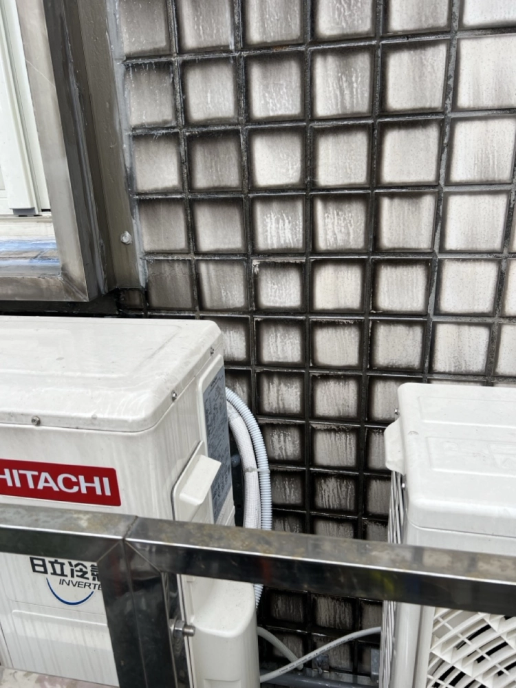 2026年1月_基隆安樂麥金路