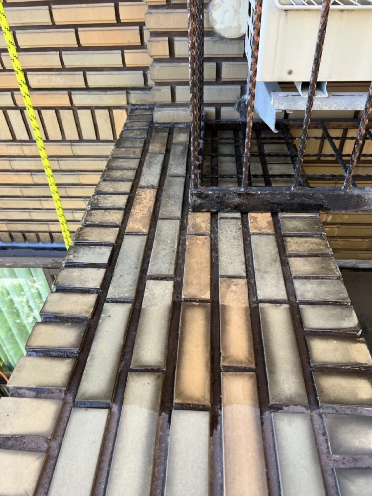 2025年10月_新北蘆洲長榮路