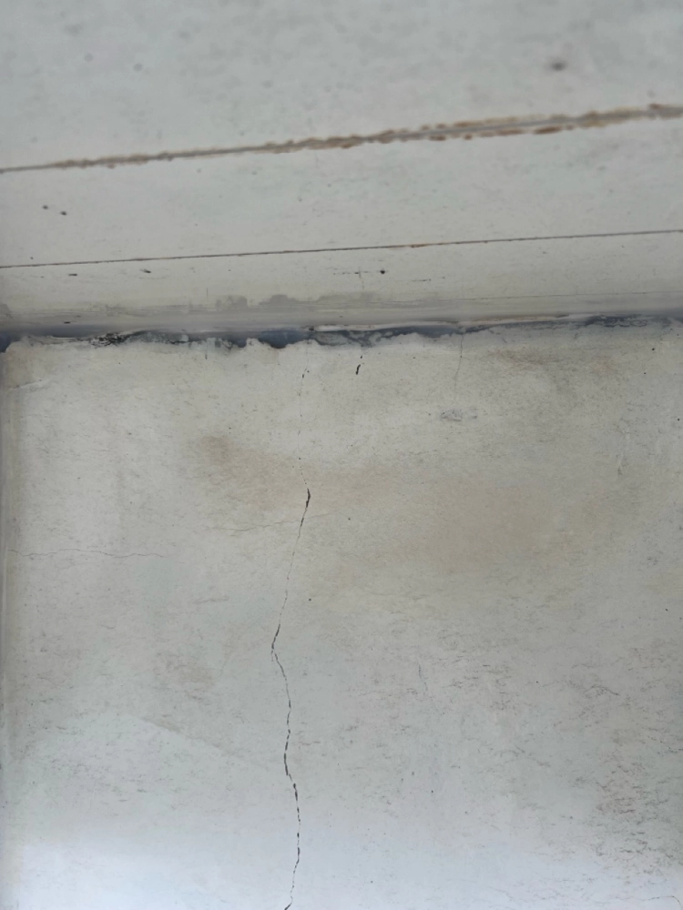 2025年11月_台北大安忠孝東路四段