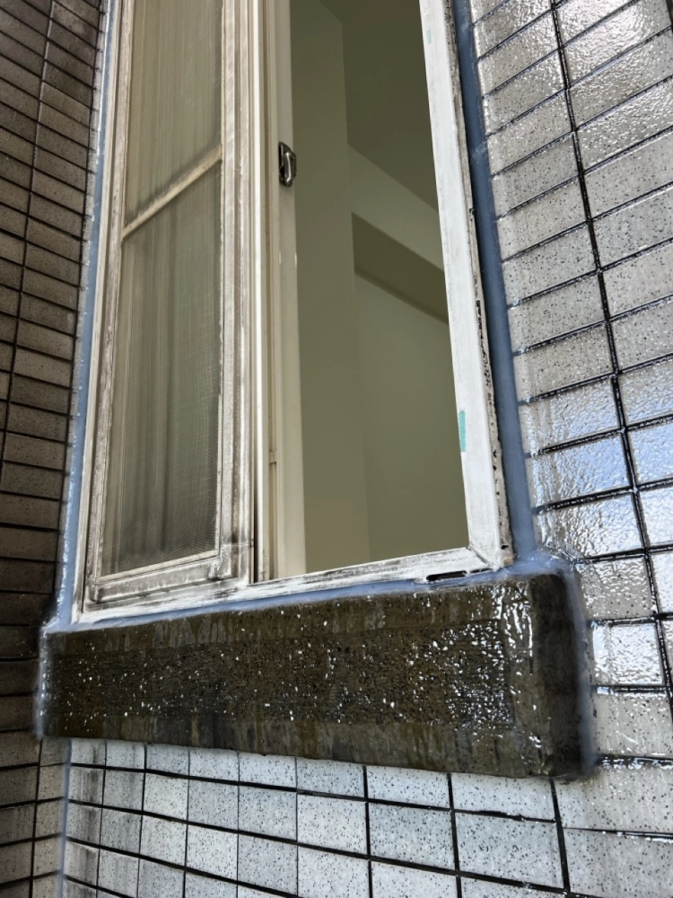 2025年11月_新北新店達觀路