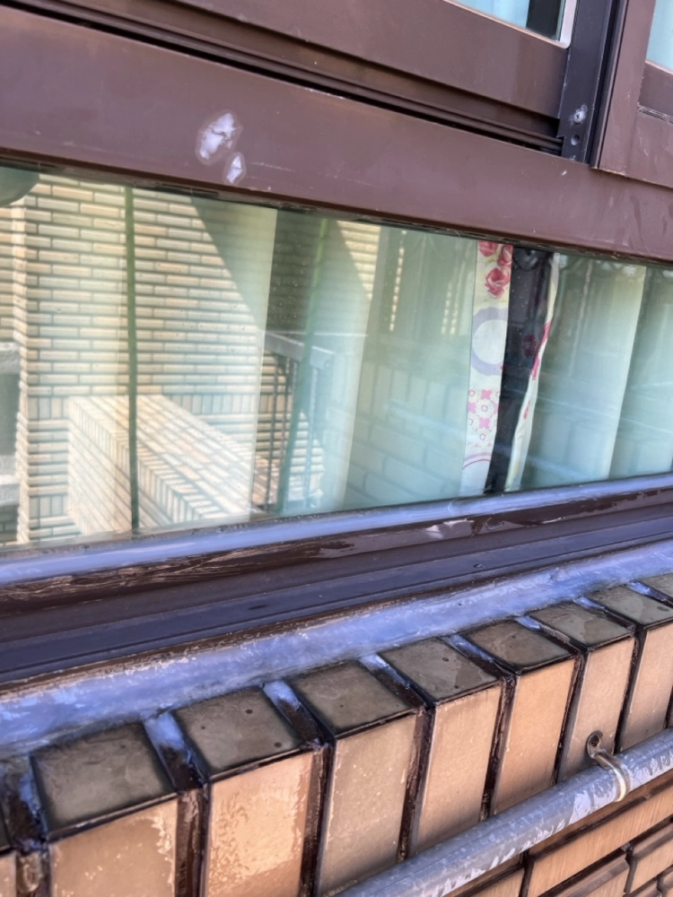 2025年10月_新北蘆洲長榮路