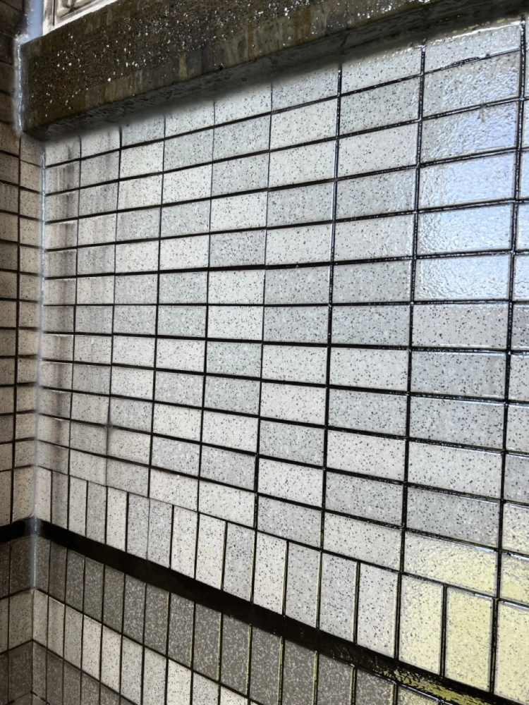 2025年11月_新北新店達觀路