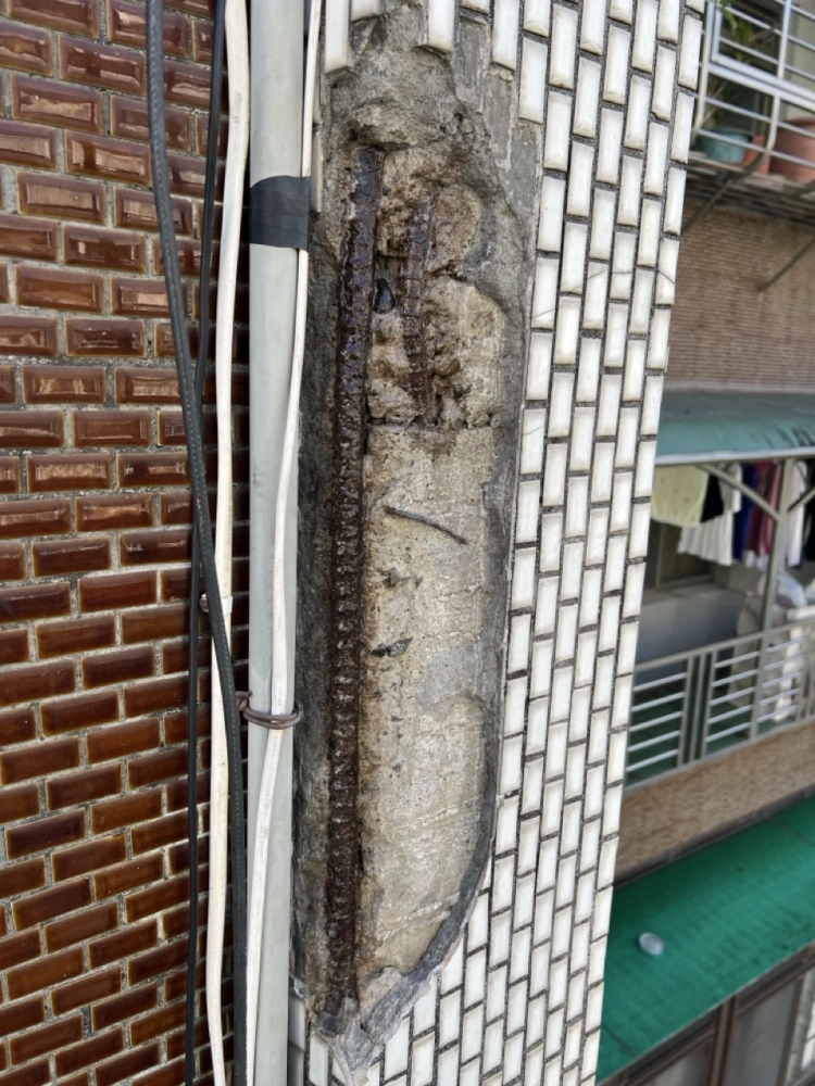 2026年2月丨台北外牆防水丨木柵辛亥路四段