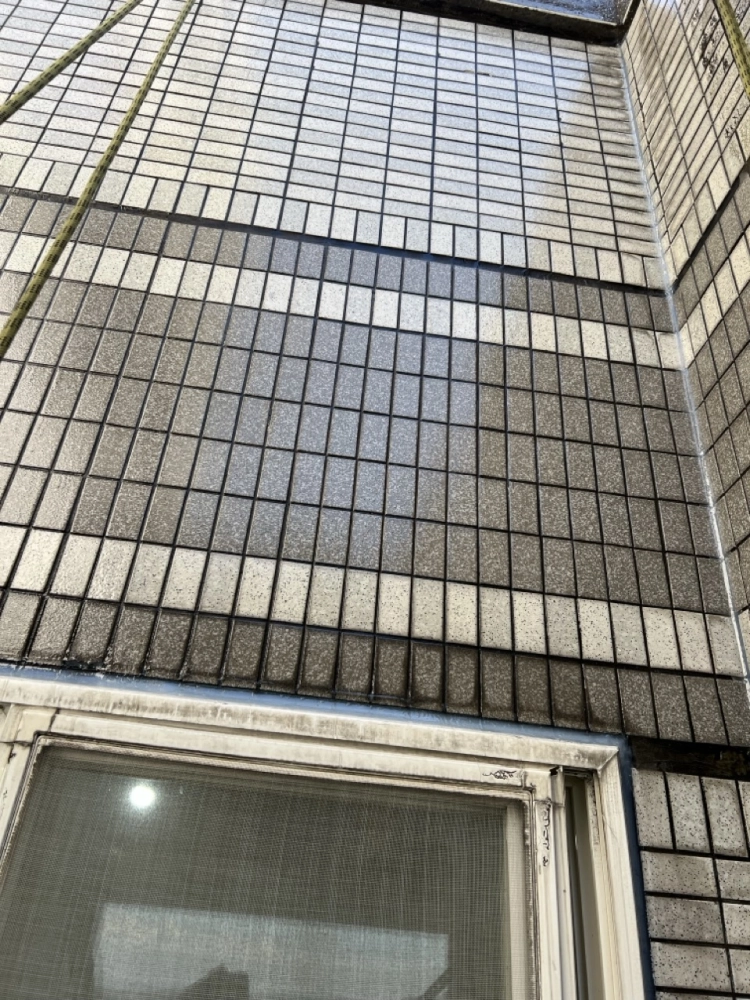 2025年11月_新北新店達觀路