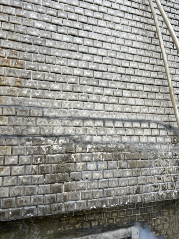 2025年11月_台北大安忠孝東路四段