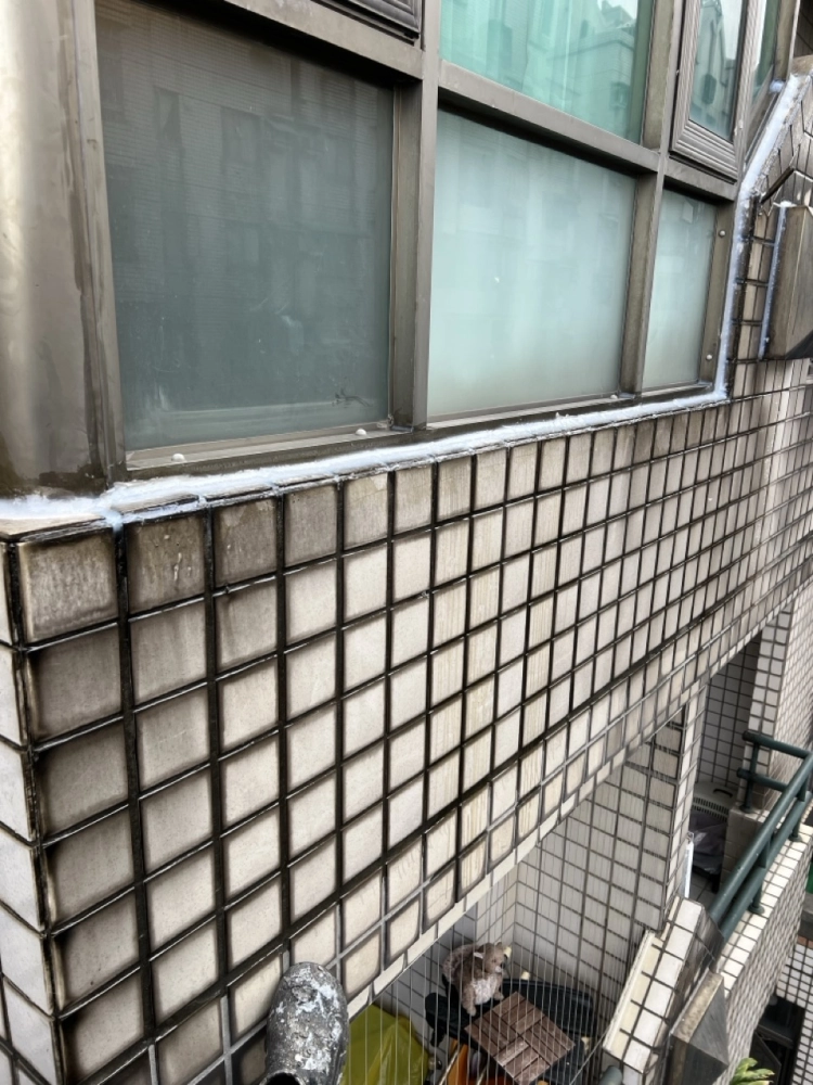 2026年1月_基隆安樂麥金路