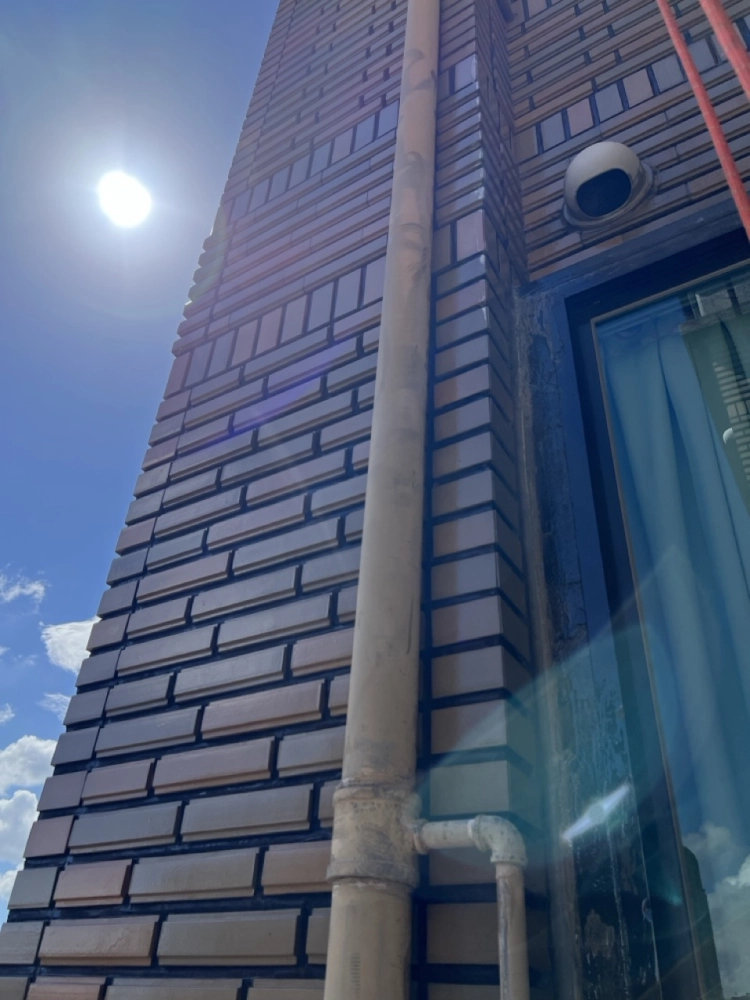 2025年10月_新北蘆洲長榮路