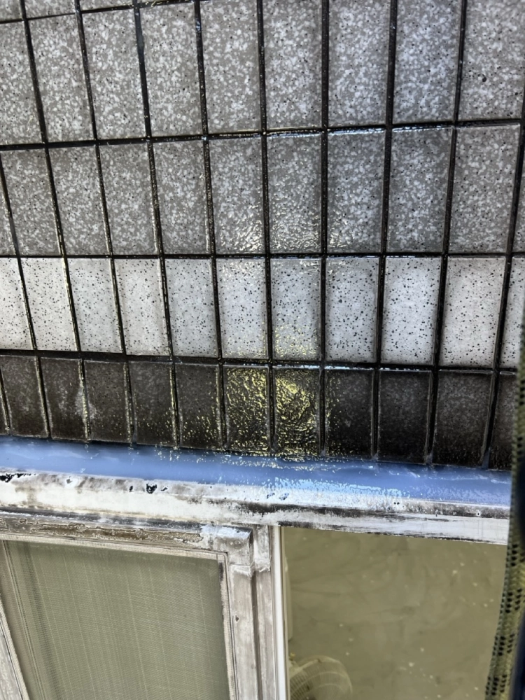 2025年11月_新北新店達觀路