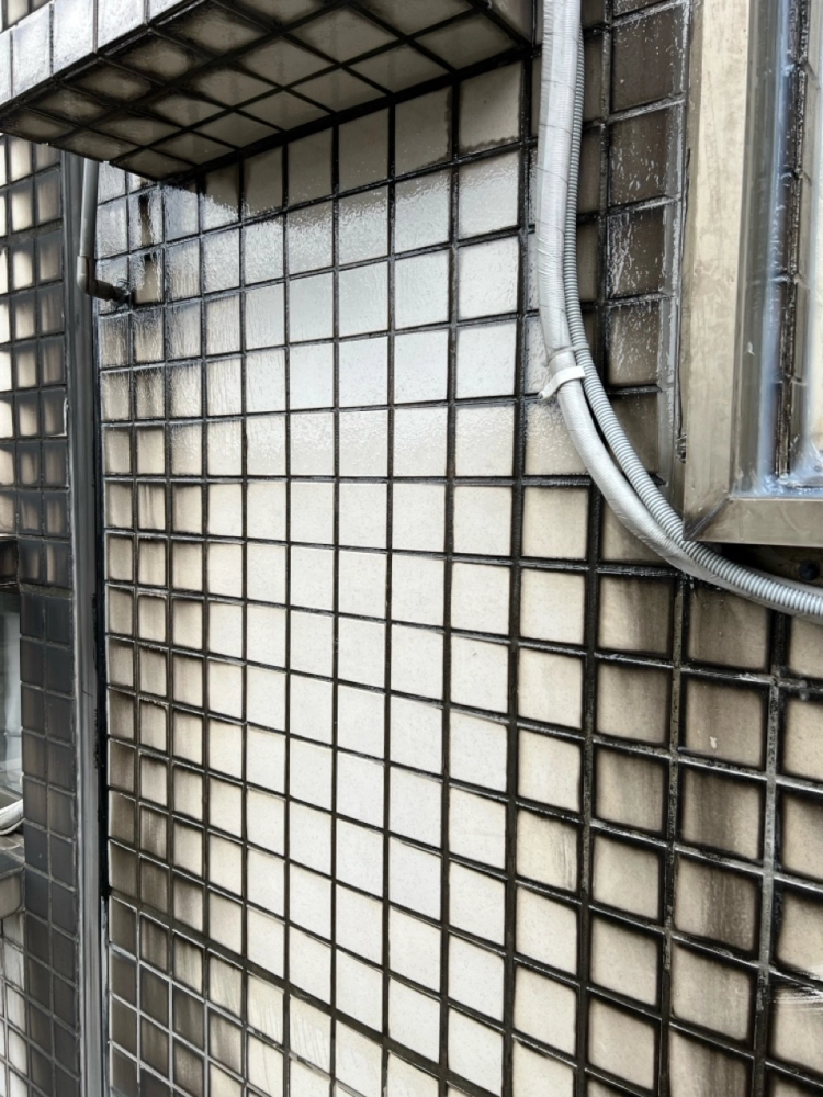 2026年1月_基隆安樂麥金路