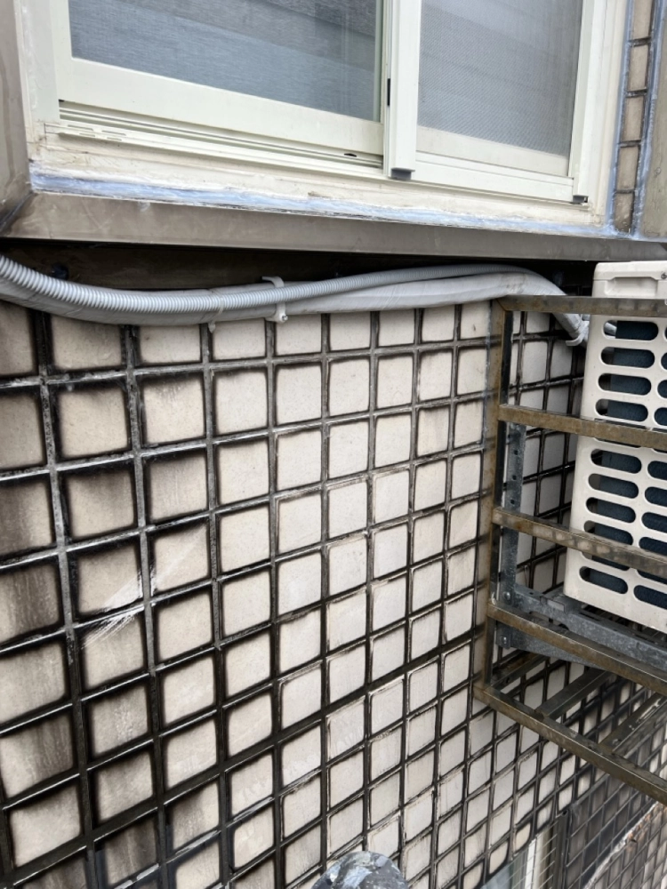 2026年1月_基隆安樂麥金路