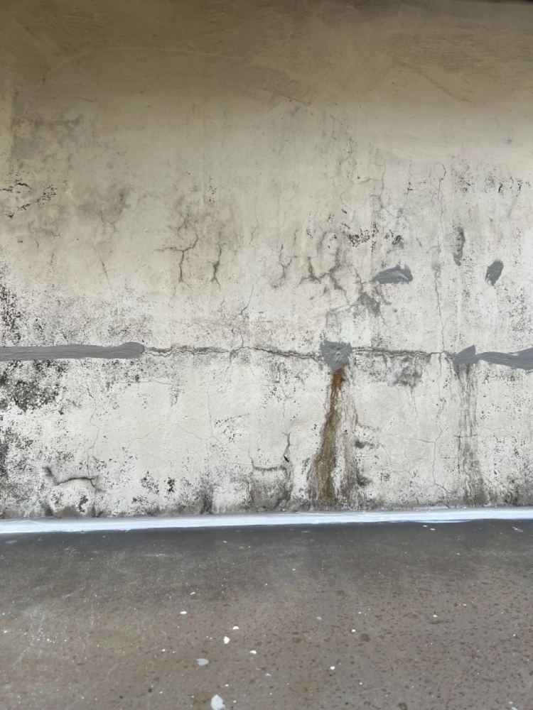 2025年11月_基隆中山復興路