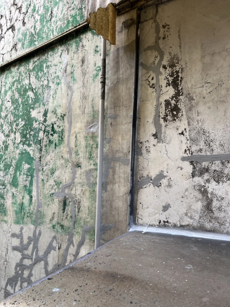 2025年11月_基隆中山復興路