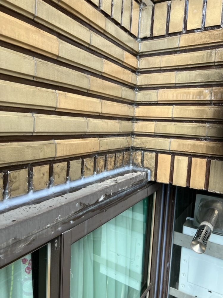 2025年10月_新北蘆洲長榮路