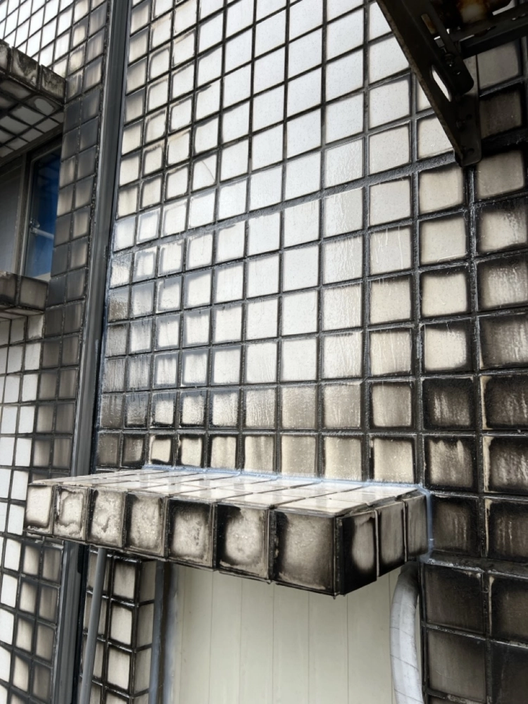 2026年1月_基隆安樂麥金路