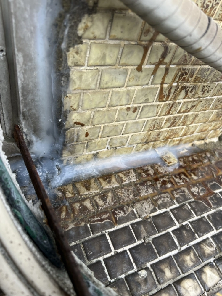 2025年11月_台北大安忠孝東路四段