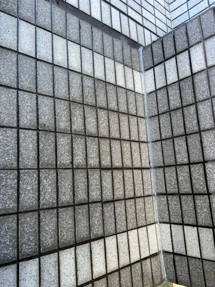 2025年11月_新北新店達觀路