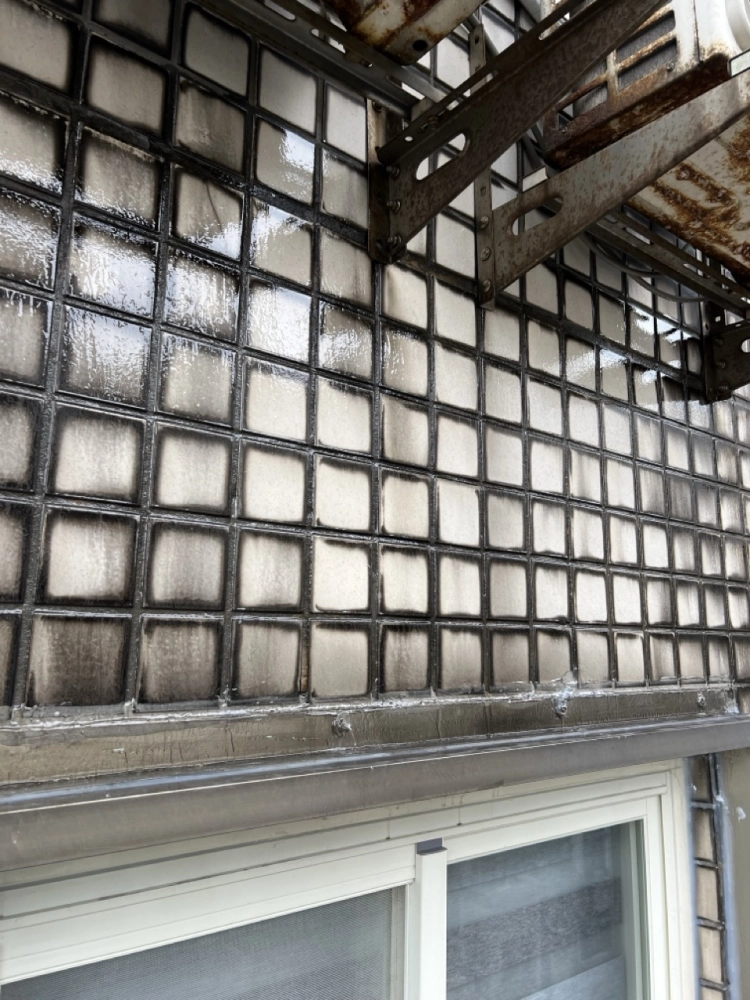 2026年1月_基隆安樂麥金路