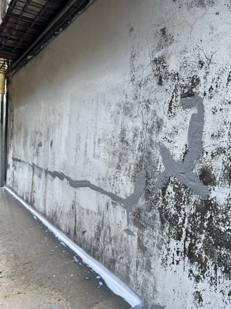 2025年11月_基隆中山復興路