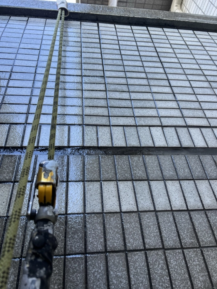 2025年11月_新北新店達觀路