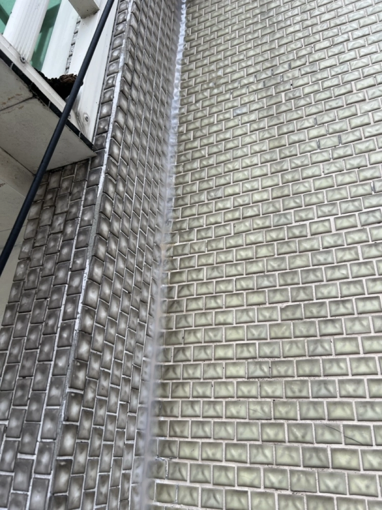 2025年11月_台北大安忠孝東路四段