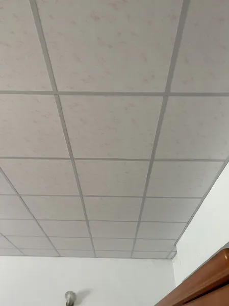 台南永康 • 劉宅 老舊天花板拆除 改作輕鋼架天花板