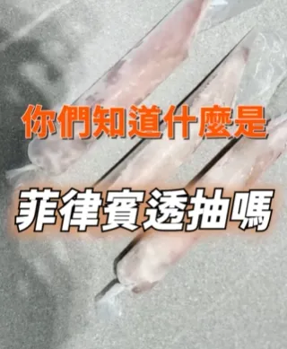 你知道什麼是菲律賓透抽嗎？進口海鮮批發｜買透抽