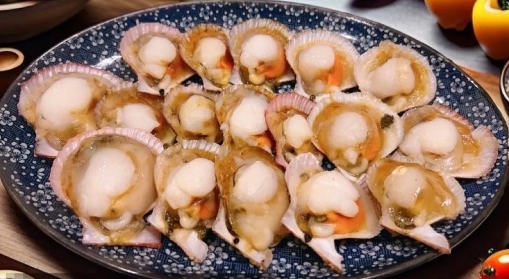 半殼櫛孔貝
