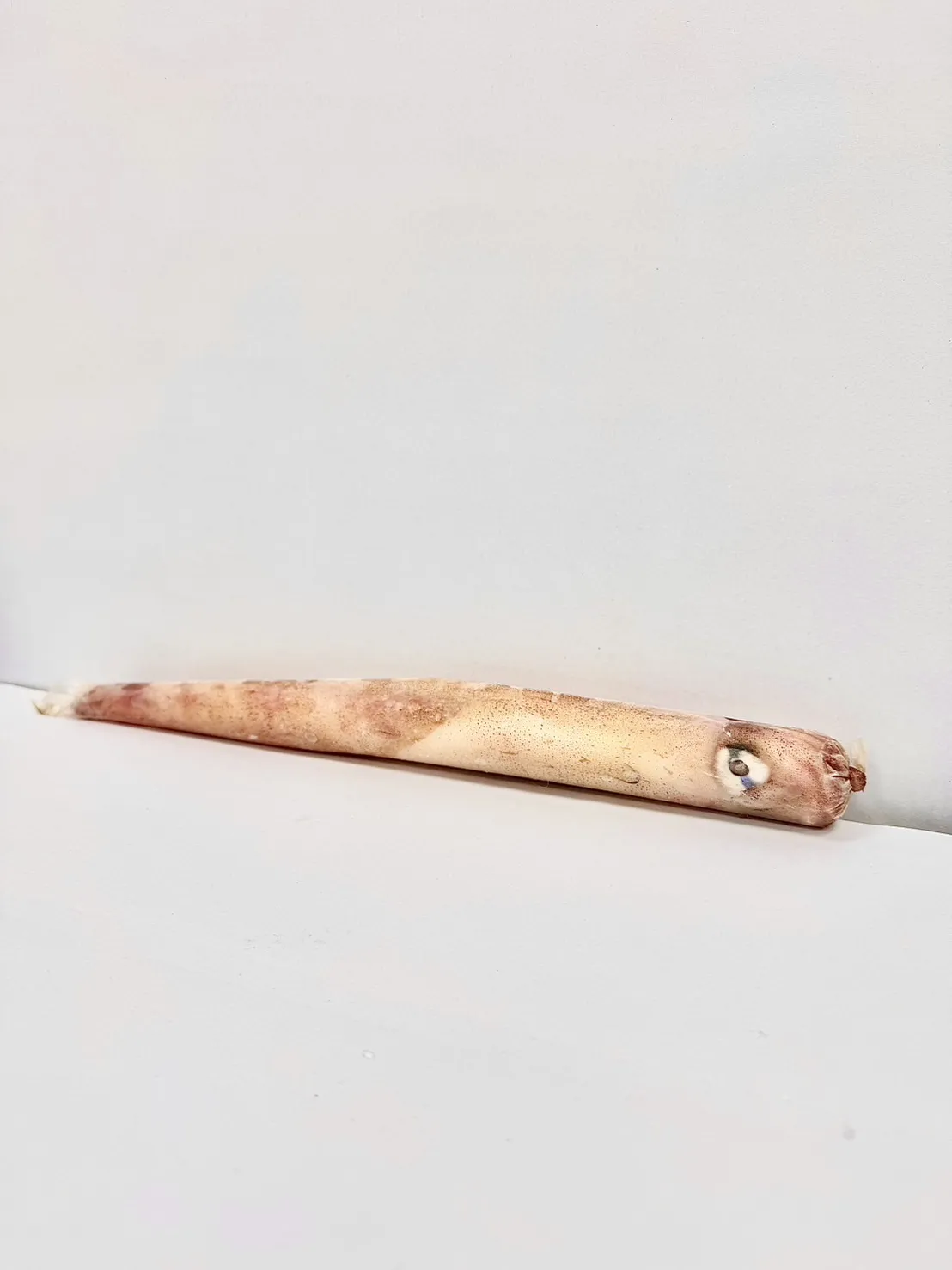 菲律賓透抽
