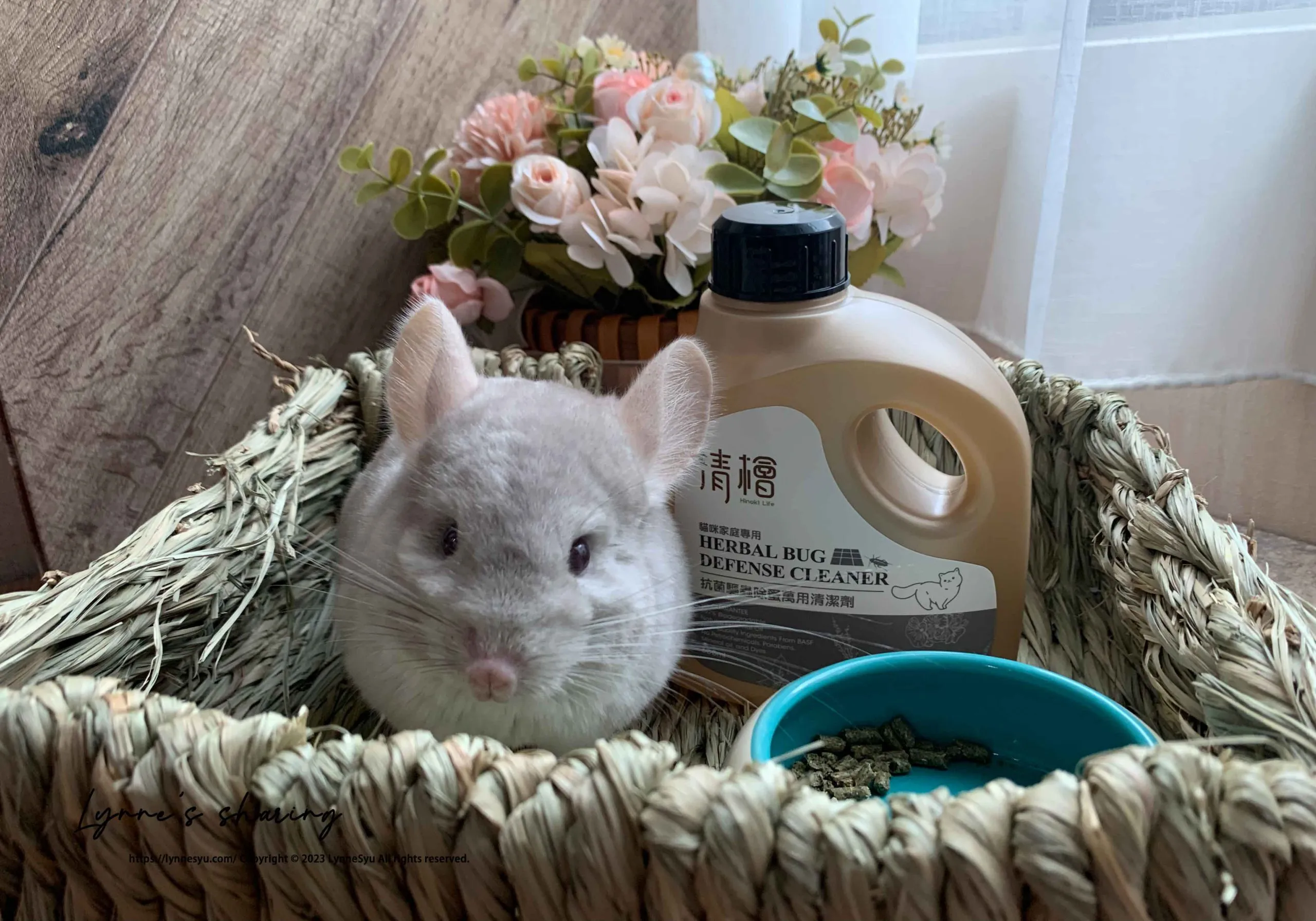 清檜開箱|寵物家庭必備!清檜萬用清潔劑&潔易淨抗菌系列:洗手慕斯/植萃洗碗精/精油洗衣精,置身花園般的清潔體驗
